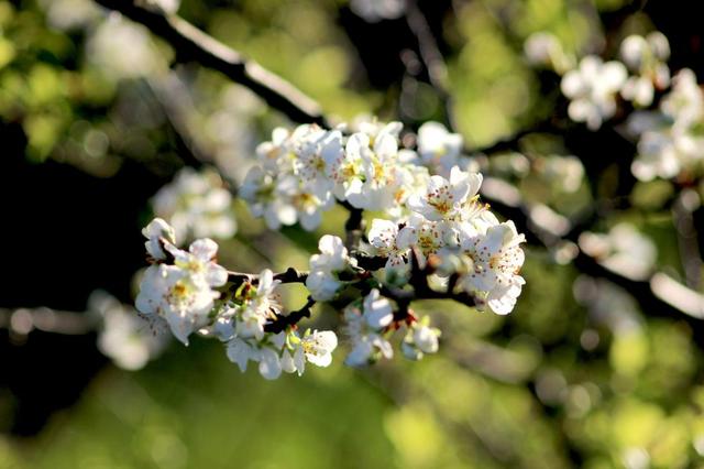 得罪了生肖兔会有哪些严重后果？