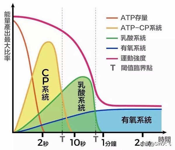 有哪些相见恨晚的运动常识