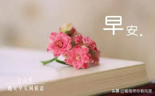 祛斑哪个最好？