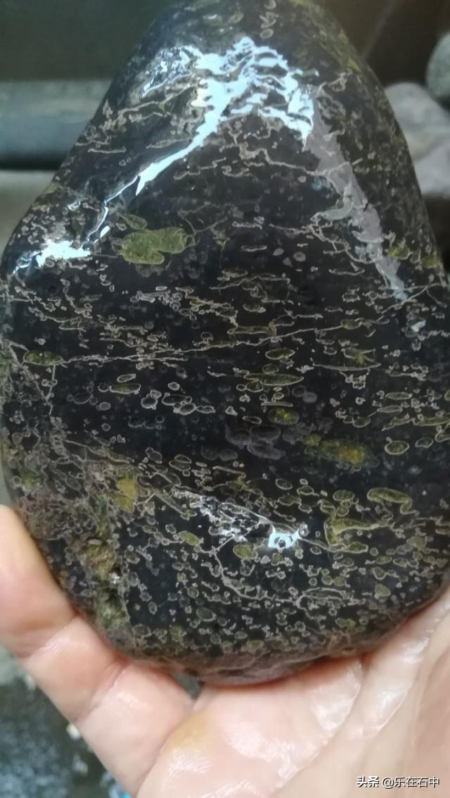 晒晒你的文玩宝贝。都是怎么保养的？插图102