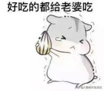 夸赞老婆的20句的话,不能重复。怎么说？