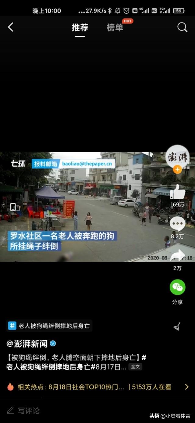 小女孩惨死恐怖图片，12岁女孩偷邻居家的狗出来玩，却害死八旬老太，邻居要负责吗？