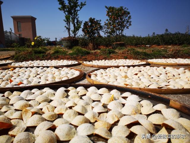 什么食品可以放10年以上还可以吃？插图18