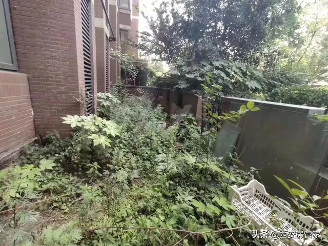 买房子最后一排好吗,买一楼送负一楼，值得买吗？