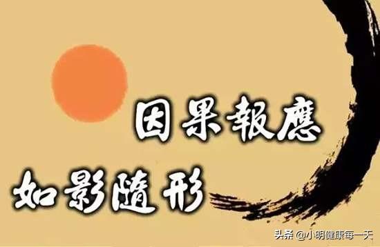 女警犬传说五部曲:假如来女士与许先生共同生的是男孩，许先生还为房子争吵吗？