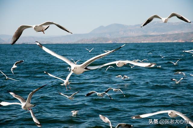 陕西富平人:那些在广东的陕西人，你们都在做什么？