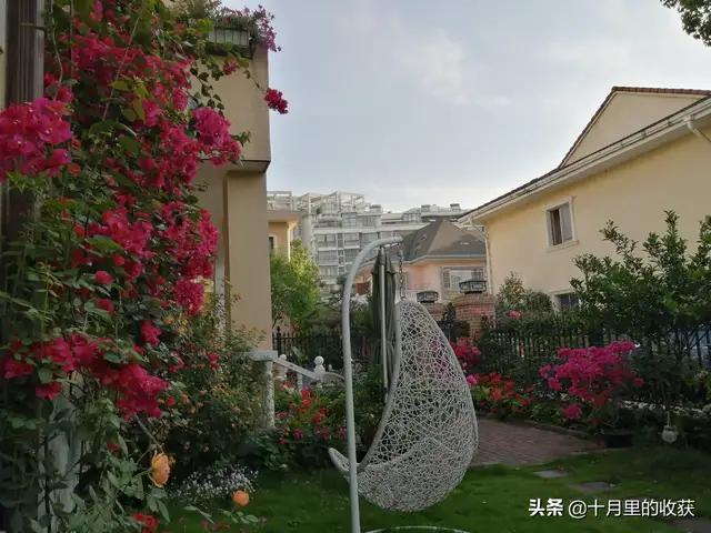 家住别墅是什么样的感觉？插图43