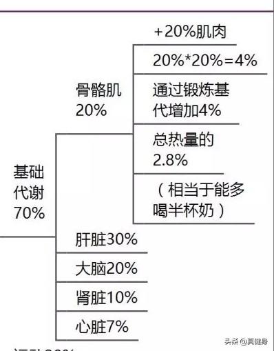 头条问答 减肥过程如何提高基础代谢 营养师李老师的回答 0赞