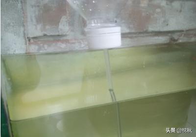 自制鱼缸恒温器:怎么制作水族箱降温风扇？