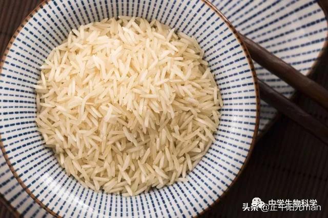 ()粳米和籼米有什么不一样的，哪种米好吃呢