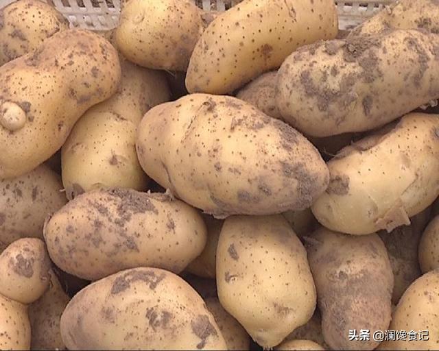 市面上的土豆越来越大，究竟和膨大剂有没有关系？你会吃吗？插图31
