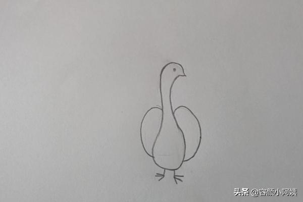 孔雀简笔画,孔雀的简笔画带颜色步骤？