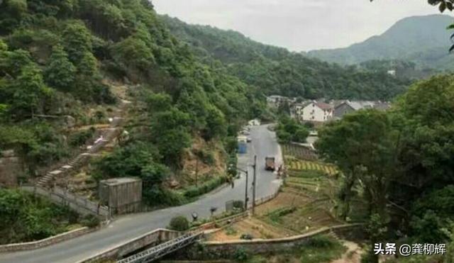 坎高和高加索打架视频:杭州转塘山林发现豹子，如遭遇豹子袭击，手持扁担能打赢豹子吗？ 坎高和高加索打架