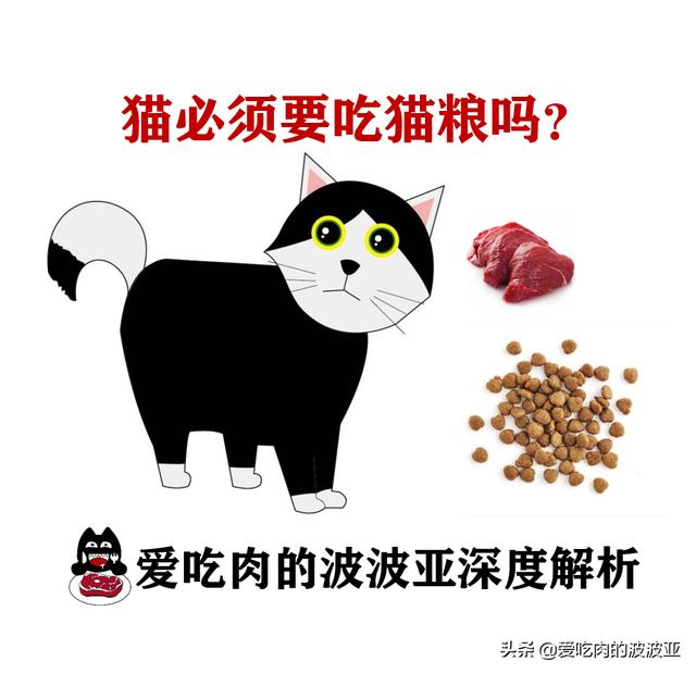 养猫必须吃猫粮吗？吃猫粮和直接吃肉比有哪些好处？