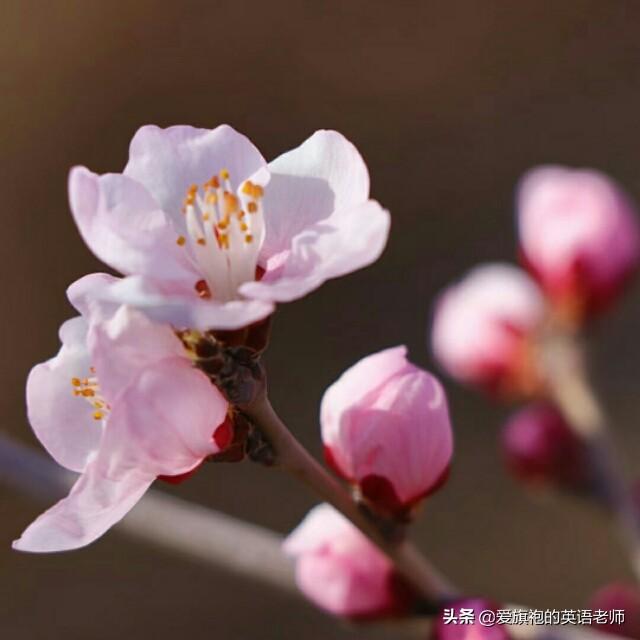 龙抬头是什么意思:今天