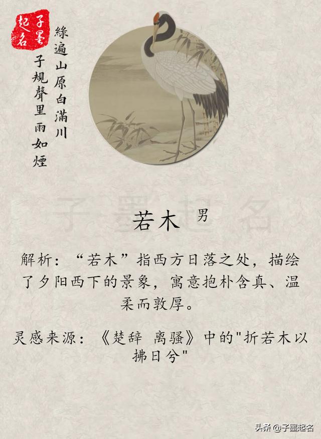 个性网名:你听过什么有个性却不俗的名字？(招财不俗气的昵称名字)