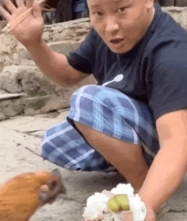 干饭是什么意思:一个新的名词“干饭人”，是什么意思？