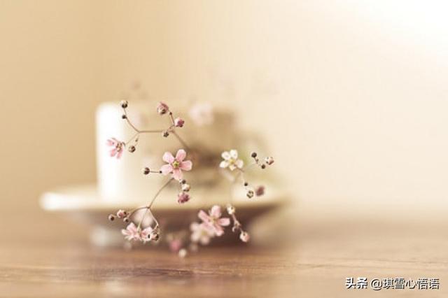 白月光:“白月光”在爱情中代表着什么含义