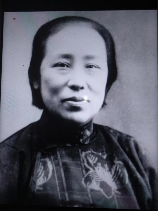 何叔衡:历史上的哪些名人姓何？有什么事迹？