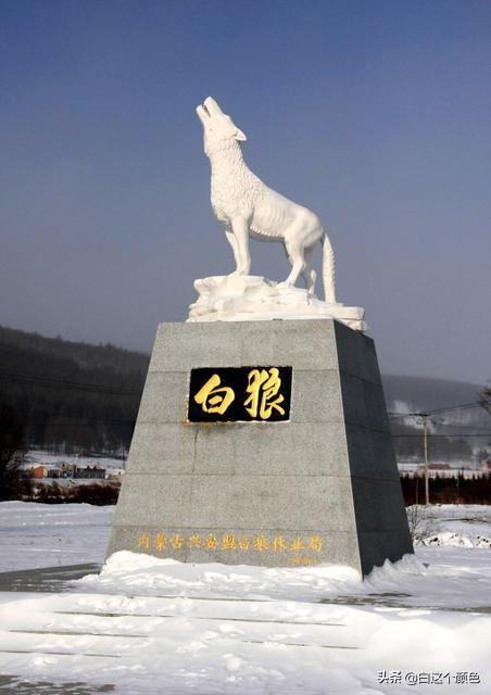 (7个回答)