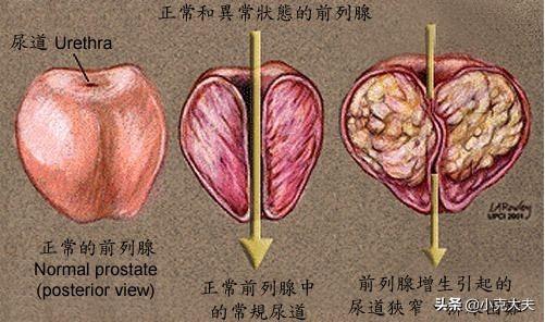 立仕中医男性<a href=https://maguai.com/list/56-0-0.html target=_blank class=infotextkey>健康</a>微信:男性<a href=https://maguai.com/list/56-0-0.html target=_blank class=infotextkey>健康</a>问题该如何高效率的解决？