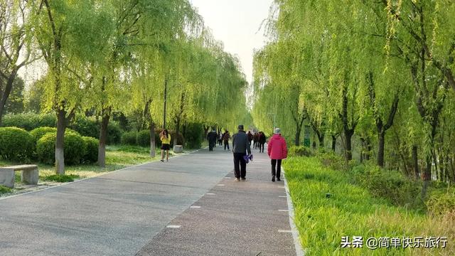 大熊猫误入水电站论文范文:您家乡原来用于防洪的工程，现在成了旅游观光项目的有哪些？