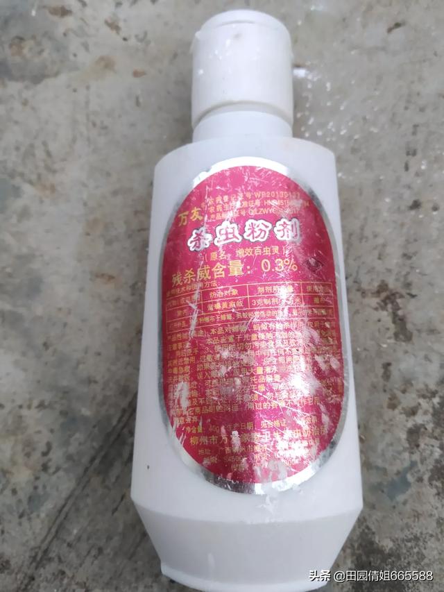 家里有蚂蚁,家里有好多蚂蚁是怎么回事啊？