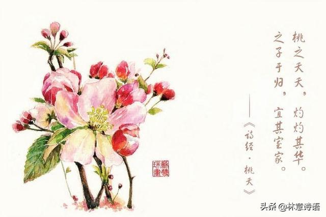 《诗经》里最优美的诗句有哪些？哪一句直抵你内心？