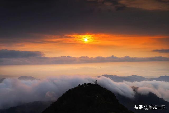 藏獒在线论坛明码:想一个人出门自助游，又担心被骗被宰客。分享下你的旅游经验吧？