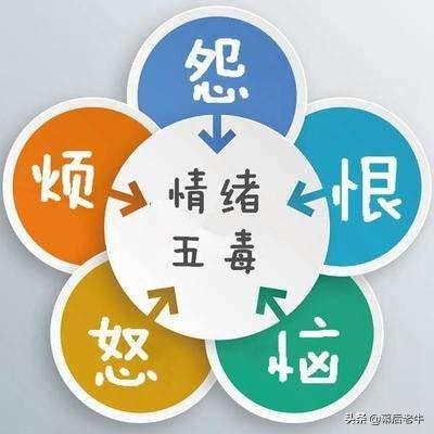 压力大了怎么办(压力大,比较烦躁的时候,大家都说怎么缓解的呢?