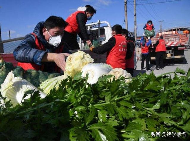 不是医护人员的我们所学的专业能为这场抗疫行动做些什么呢？
