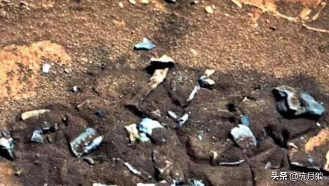 飞机上拍到不明生物，火星上存在地外生物NASA疑似拍到不明生物，这东西是什么