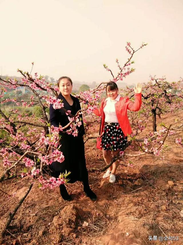 “年年岁岁花相似,岁岁年年人不同”这句话带给你什么感慨？乡愁吗？