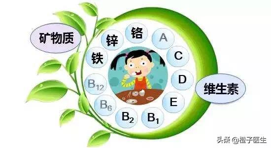 维生素矿物质含量高的食物分别有哪些？