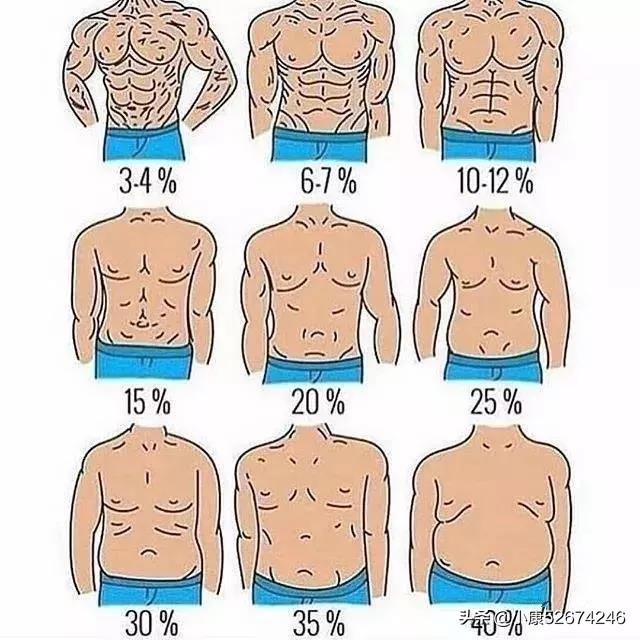 头条问答 男生体脂率多少最适合 142个回答