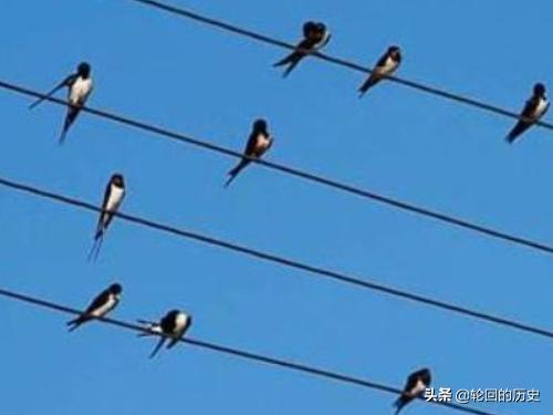 小鸟站在高压线上为什么不会触电，为什么燕子能站在电线上而不怕高压电流呢？
