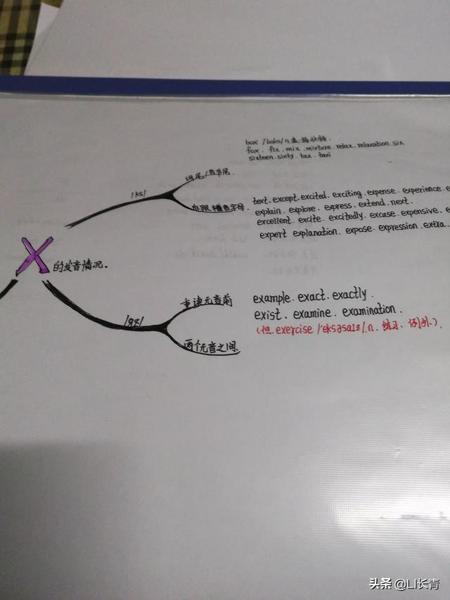 掌握的拼音,幼儿园大班要不要学拼音？