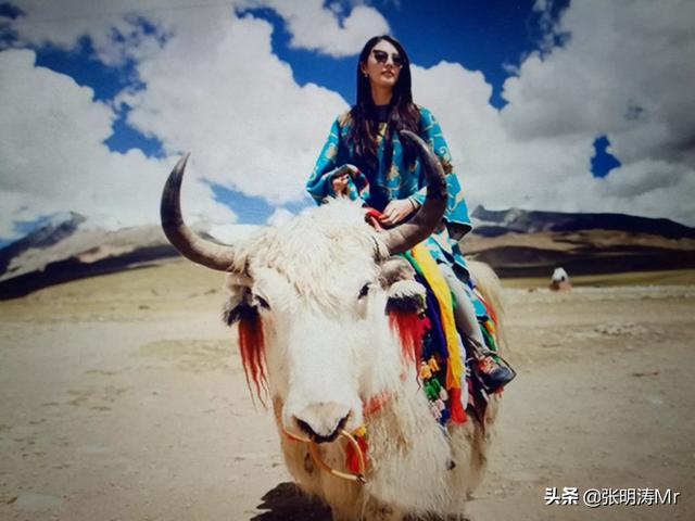 高调宠爱 笑佳人:书荒，有没有逻辑正常，文笔流畅，感情细腻的<a href=https://maguai.com/list/34-0-0.html target=_blank class=infotextkey><a href=https://maguai.com/list/34-0-0.html target=_blank class=infotextkey>小说</a></a>推荐？