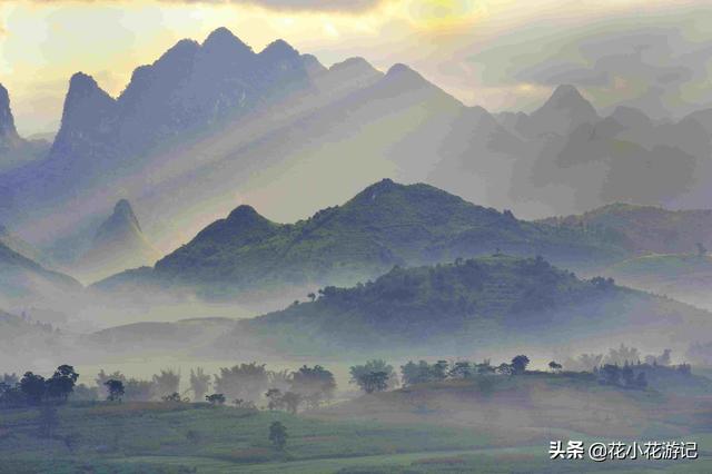 广西土松狮吧:有懂狗的吗，请问这是什么狗？
