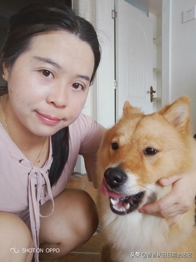拉不拉多狗怎么训练:求助:拉布拉多幼犬怎么训练去卫生间大小便？