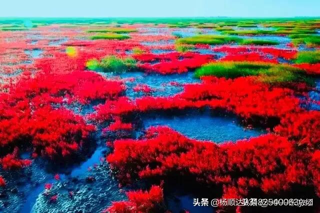 现代诗是否还需要押韵？