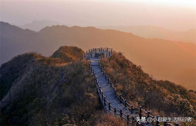 西伯利亚鼯鼠哪里有卖:全家人想去三亚旅游，行程应该如何制定？有哪些攻略推荐？