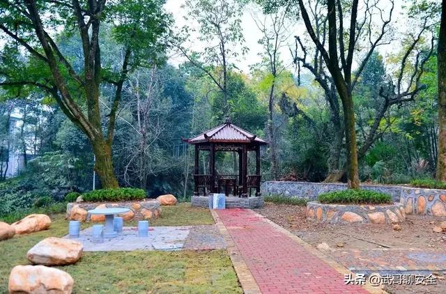 加快新农村建设,促进农村社会发展的对策有哪些？