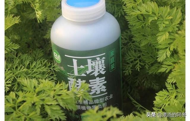 酵素菌:酸性土壤可以用酵素吗？要注意什么？