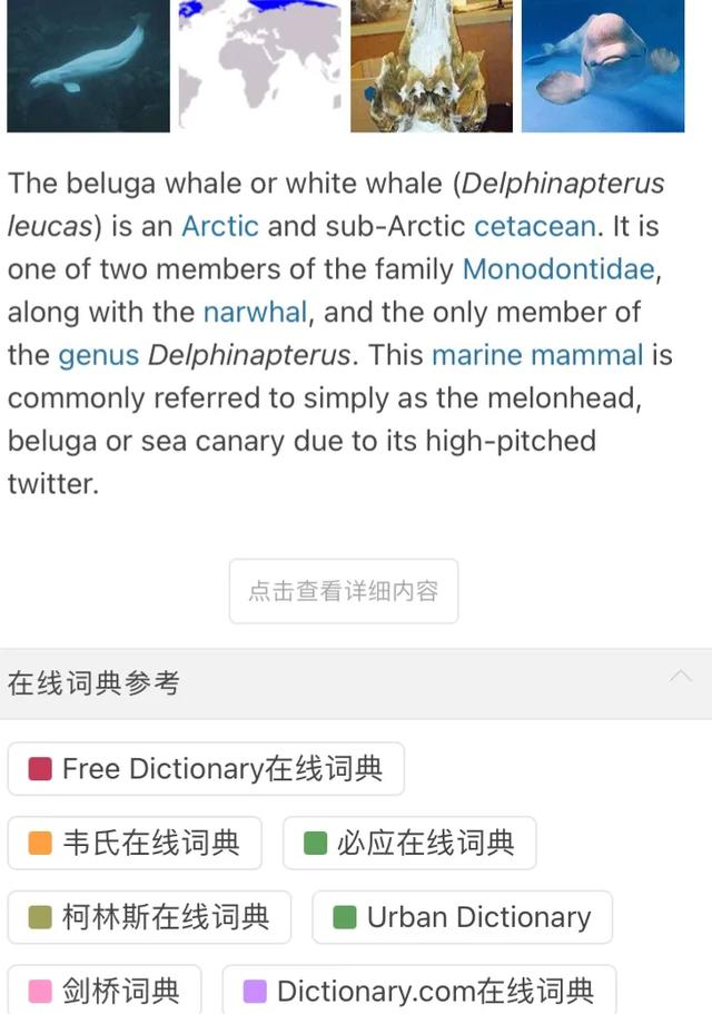 有哪些实用的app软件（5款巨好用的app推荐）