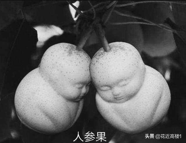 镇元子和如来佛祖相比,谁的地位高,谁的武力值更强？