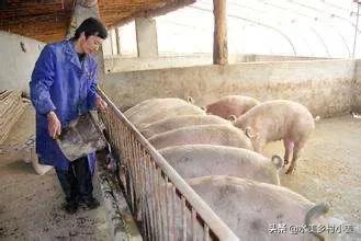 2020年,养殖什么前景好？