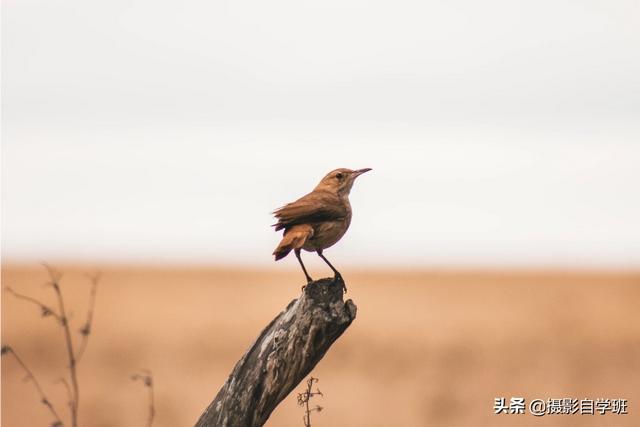 诗情画意的图片:在风光山水摄影的创作中，如何拍出“诗情画意”般的意境作品？