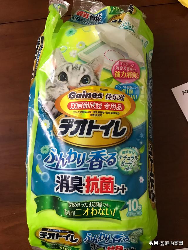 英短猫罐头推荐:猫罐头适合给猫吃吗？多大可以吃？