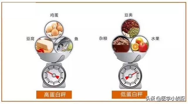 适合肾病吃的有优质蛋白有哪些？